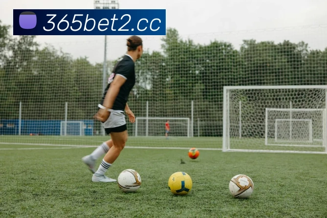bet365com英国上市公司平台生态图