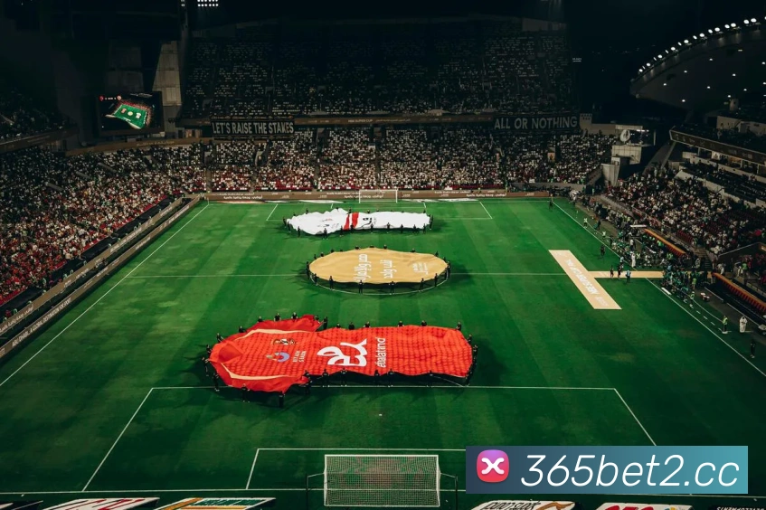 bet365com英国上市公司APP 封面图